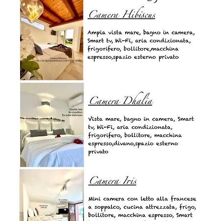 Kalypso - Guest house *